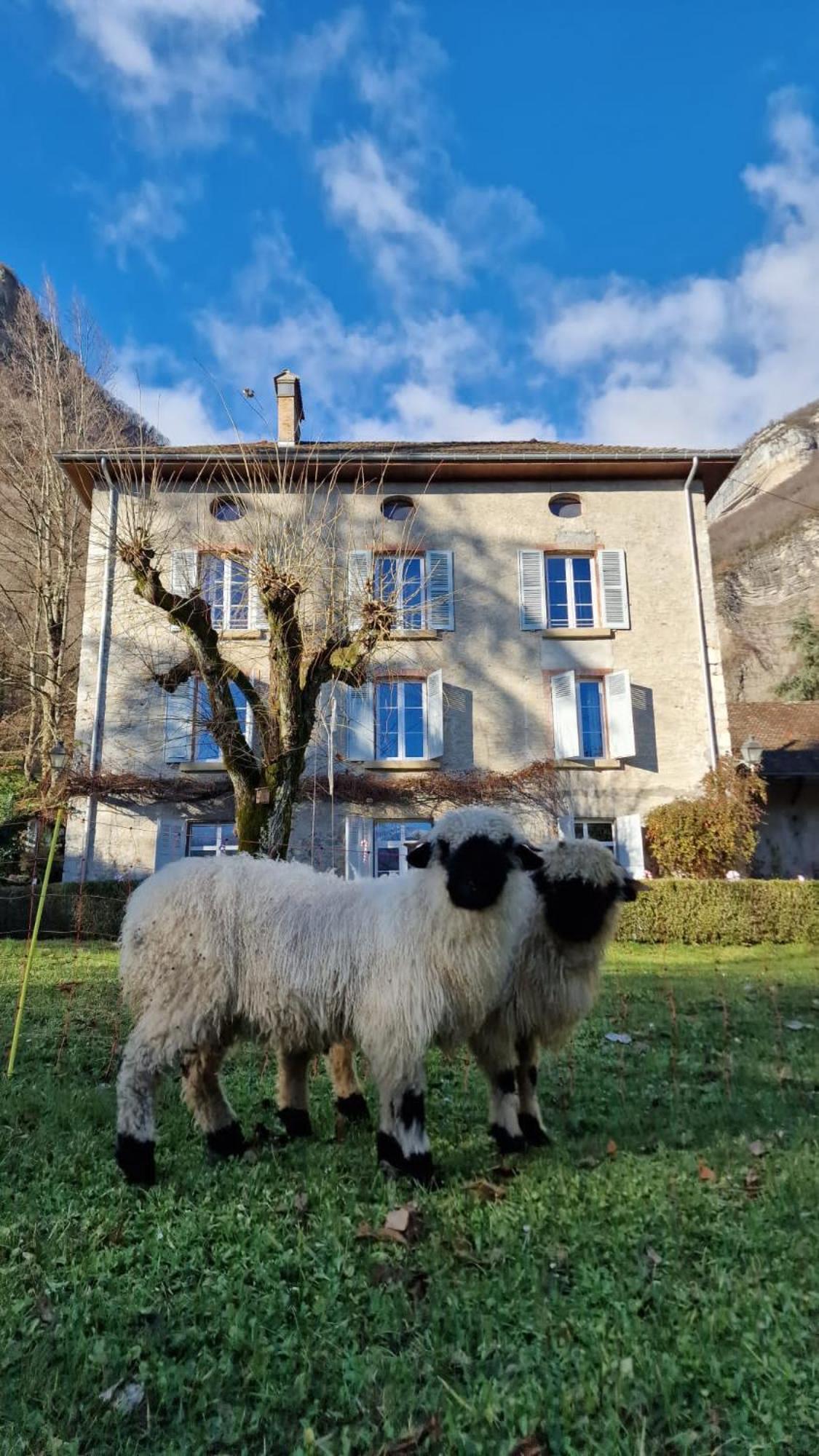 Chateau Monts Blancs Lumbin ภายนอก รูปภาพ